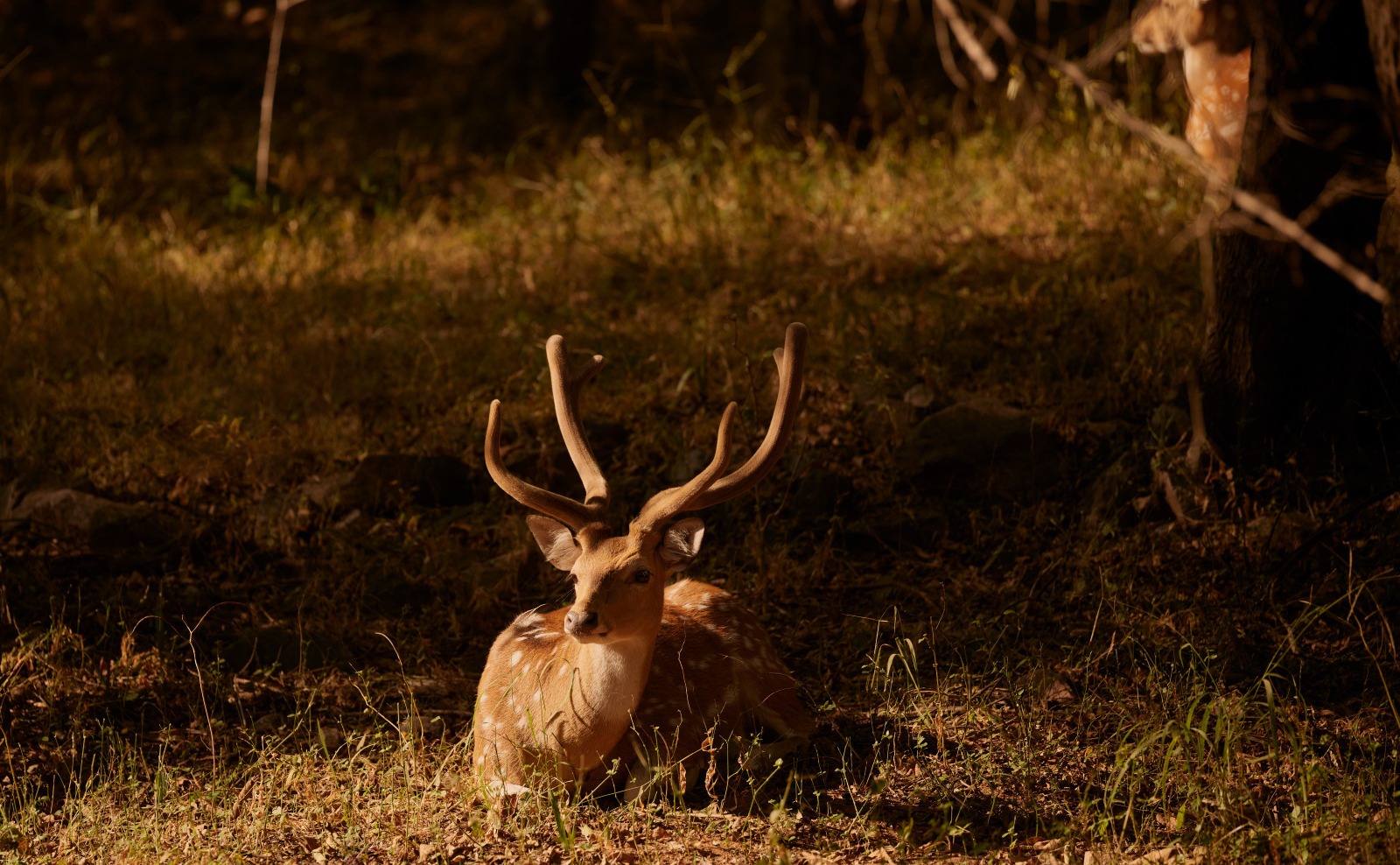 d2b9389b-f552-4178-af67-c307b8c0eb77 (1)